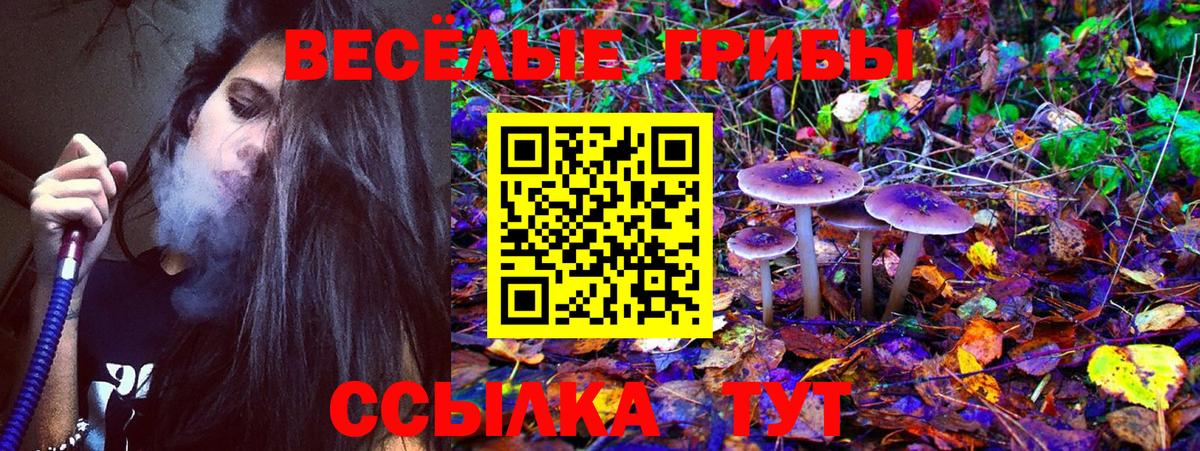 Псилоцибиновые грибы мухоморы Якутск